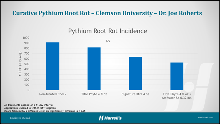 Curative Control of Pythium Root Rot on a Creeping Bentgrass Putting Green